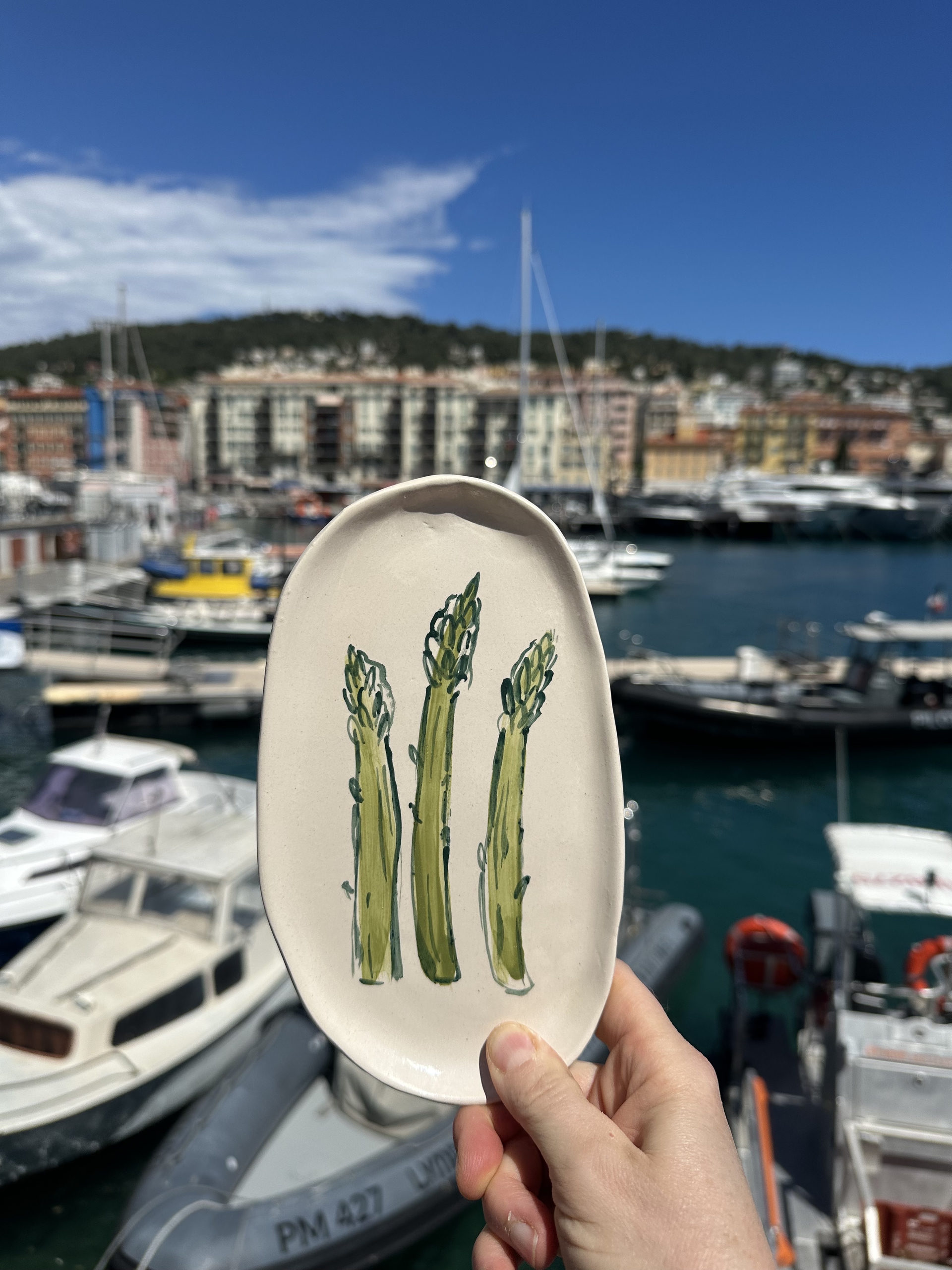 Patit Plat Marché- Trio d'Asperges Vertes 4